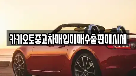 서울특별시 동대문구 답십리동 중고차매입 전문 카카오토중고차매입매매수출판매시세