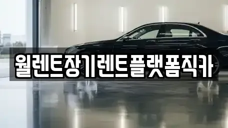 서울특별시 동대문구 회기동 장기렌트카 전문 월렌트장기렌트플랫폼직카