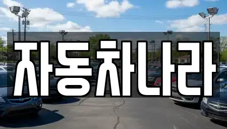 서울특별시 동대문구 회기동 중고차 전문 자동차나라