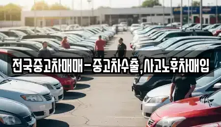 서울특별시 동대문구 회기동 중고차 전문 전국중고차매매-중고차수출,사고노후차매입