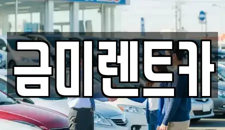 서울특별시 마포구 대흥동 렌트카 전문 금미렌트카