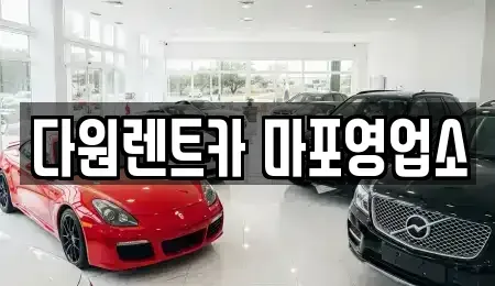 서울특별시 마포구 대흥동 렌트카 전문 다원렌트카 마포영업소