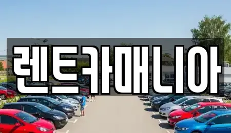 서울특별시 마포구 대흥동 렌트카 전문 렌트카매니아