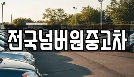 서울특별시 마포구 대흥동 중고차 전문 전국넘버원중고차