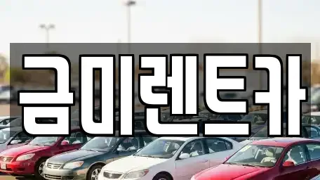 서울특별시 마포구 성산동 렌트카 전문 금미렌트카
