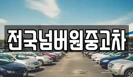 서울특별시 마포구 성산동 중고차매매 전문 전국넘버원중고차