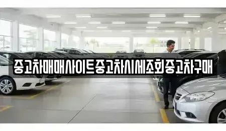 서울특별시 마포구 성산동 중고차매매 전문 중고차매매사이트중고차시세조회중고차구매