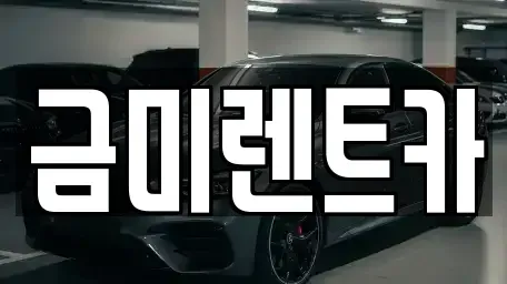 서울특별시 마포구 하중동 렌트카 전문 금미렌트카