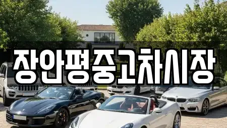 서울특별시 마포구 하중동 중고차매매 전문 장안평중고차시장