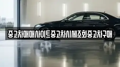 서울특별시 마포구 하중동 중고차매매 전문 중고차매매사이트중고차시세조회중고차구매