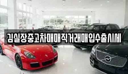 서울특별시 마포구 하중동 중고차매입 전문 김실장중고차매매직거래매입수출시세