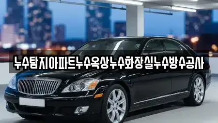 서울특별시 마포구 하중동 중고차매입 전문 누수탐지아파트누수옥상누수화장실누수방수공사