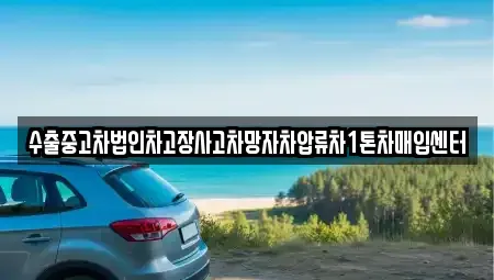 서울특별시 마포구 하중동 중고차매입 전문 수출중고차법인차고장사고차망자차압류차1톤차매입센터