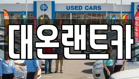 서울특별시 서초구 반포동 단기렌트카 전문 대온랜트카