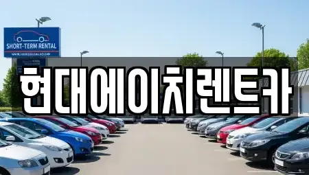 서울특별시 서초구 반포동 렌트카 전문 현대에이치렌트카