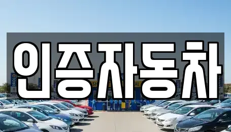 서울특별시 서초구 반포동 중고차매매 전문 인증자동차