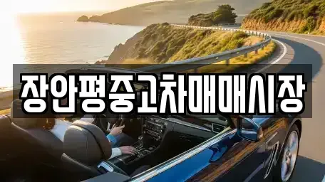 서울특별시 서초구 반포동 중고차매매 전문 장안평중고차매매시장