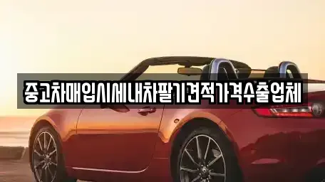 서울특별시 서초구 반포동 중고차매입 전문 중고차매입시세내차팔기견적가격수출업체