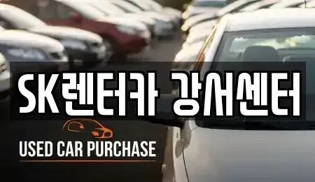 서울특별시 영등포구 당산동2가 장기렌트카 전문 SK렌터카 강서센터
