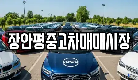 서울특별시 영등포구 당산동2가 중고차 전문 장안평중고차매매시장