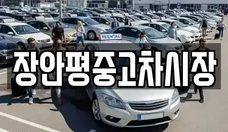 서울특별시 영등포구 당산동2가 중고차 전문 장안평중고차시장