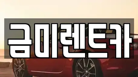 서울특별시 영등포구 문래동5가 단기렌트카 전문 금미렌트카