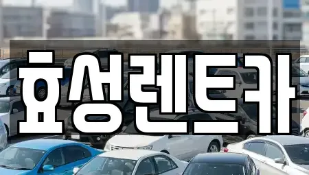 서울특별시 영등포구 문래동5가 렌트카 전문 효성렌트카