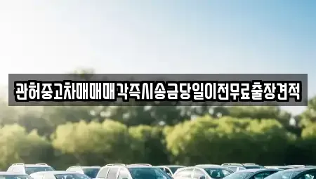 서울특별시 영등포구 영등포동1가 중고차 전문 관허중고차매매매각즉시송금당일이전무료출장견적