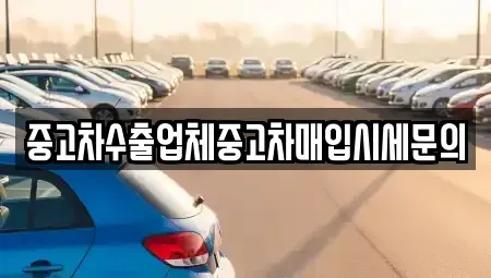 서울특별시 영등포구 영등포동2가 중고차 전문 중고차수출업체중고차매입시세문의