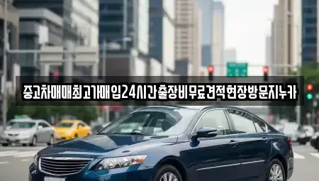 서울특별시 영등포구 영등포동2가 중고차매입 전문 중고차매매최고가매입24시간출장비무료견적현장방문지누카