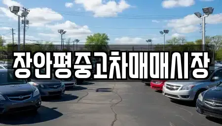 서울특별시 용산구 갈월동 중고차매매 전문 장안평중고차매매시장