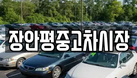 서울특별시 용산구 이태원동 중고차 전문 장안평중고차시장