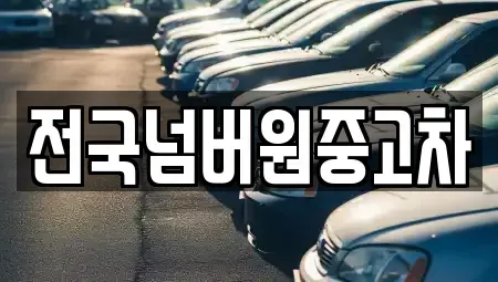 서울특별시 용산구 이태원동 중고차매매 전문 전국넘버원중고차