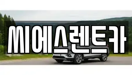 서울특별시 용산구 한남동 렌트카 전문 씨에스렌트카