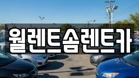 서울특별시 용산구 한남동 렌트카 전문 월렌트솜렌트카