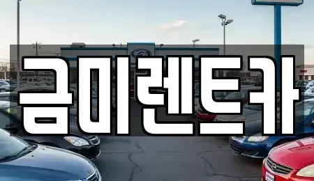 서울특별시 종로구 교남동 렌트카 전문 금미렌트카