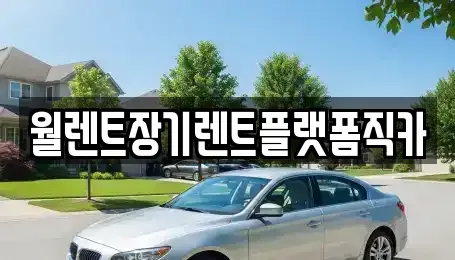 서울특별시 종로구 교남동 장기렌트카 전문 월렌트장기렌트플랫폼직카