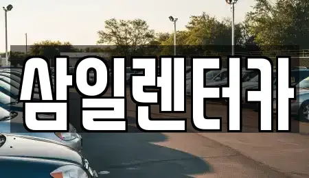 서울특별시 종로구 내수동 렌트카 전문 삼일렌터카