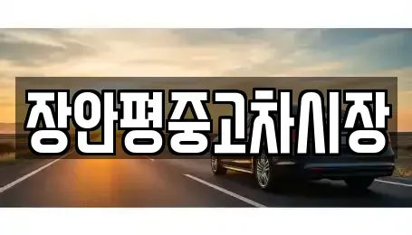 서울특별시 종로구 내수동 중고차매매 전문 장안평중고차시장