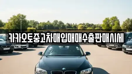 서울특별시 종로구 내수동 중고차매매 전문 카카오토중고차매입매매수출판매시세
