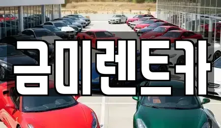 서울특별시 종로구 내자동 렌트카,단기렌트카,장기렌트카,중고차,중고차매매,중고차매입