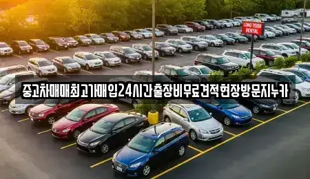 서울특별시 종로구 내자동 중고차 전문 중고차매매최고가매입24시간출장비무료견적현장방문지누카
