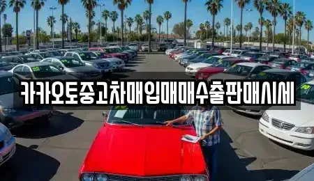 서울특별시 종로구 내자동 중고차 전문 카카오토중고차매입매매수출판매시세
