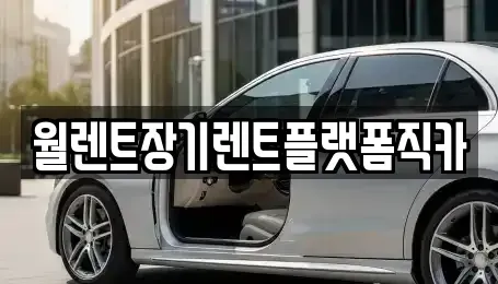 서울특별시 종로구 누상동 장기렌트카 전문 월렌트장기렌트플랫폼직카