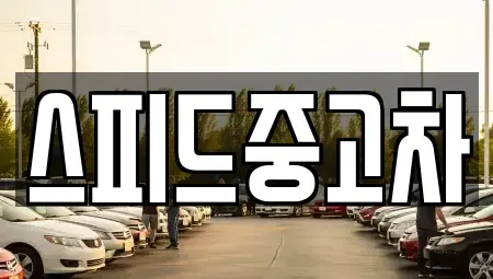 서울특별시 종로구 누상동 중고차매매 전문 스피드중고차