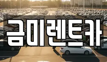 서울특별시 종로구 당주동 렌트카 전문 금미렌트카