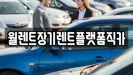 서울특별시 종로구 당주동 장기렌트카 전문 월렌트장기렌트플랫폼직카