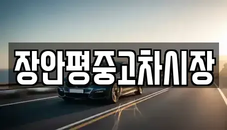 서울특별시 종로구 당주동 중고차 전문 장안평중고차시장