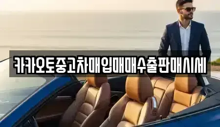 서울특별시 종로구 당주동 중고차매매 전문 카카오토중고차매입매매수출판매시세
