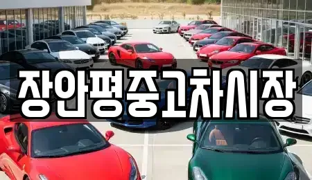 서울특별시 종로구 적선동 중고차 전문 장안평중고차시장